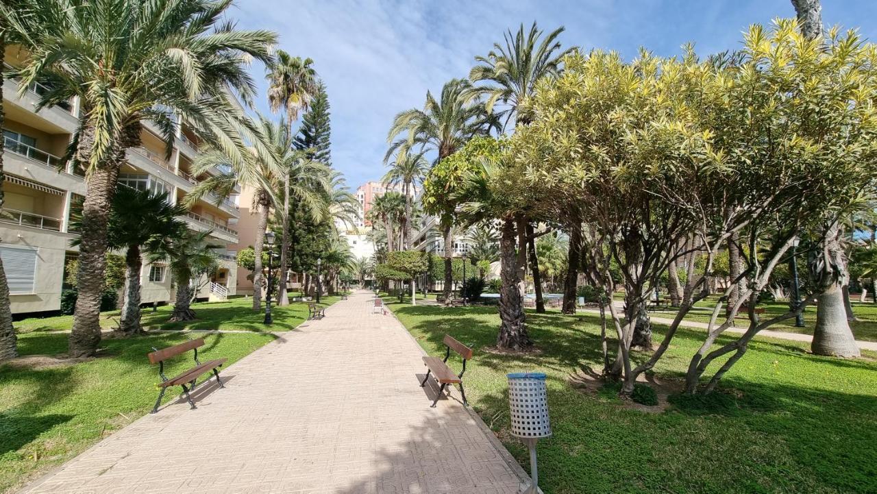 Apartament Palm Beach-El Palmeral 또레비에하 외부 사진